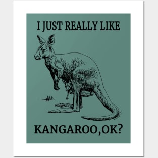 I Just Really Like Kangaroo, OK? Animals Australia Fans Posters and Art